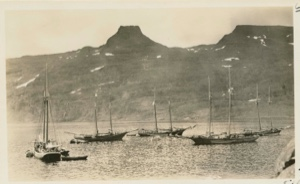 Image: Fishing schooners